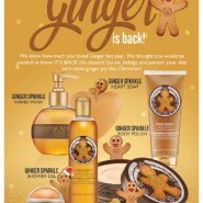 Body Shop Ginger Gift Sets