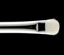 Read more about the article MAC 239 Stiff Flat Shading Brush