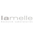 Read more about the article Lamelle