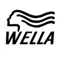 Read more about the article Wella