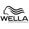 Read more about the article Wella System Professional